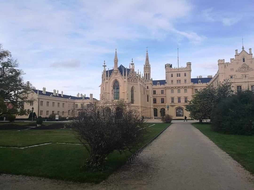 Apartmán u Vrbů Černá v Pošumaví Exterior foto